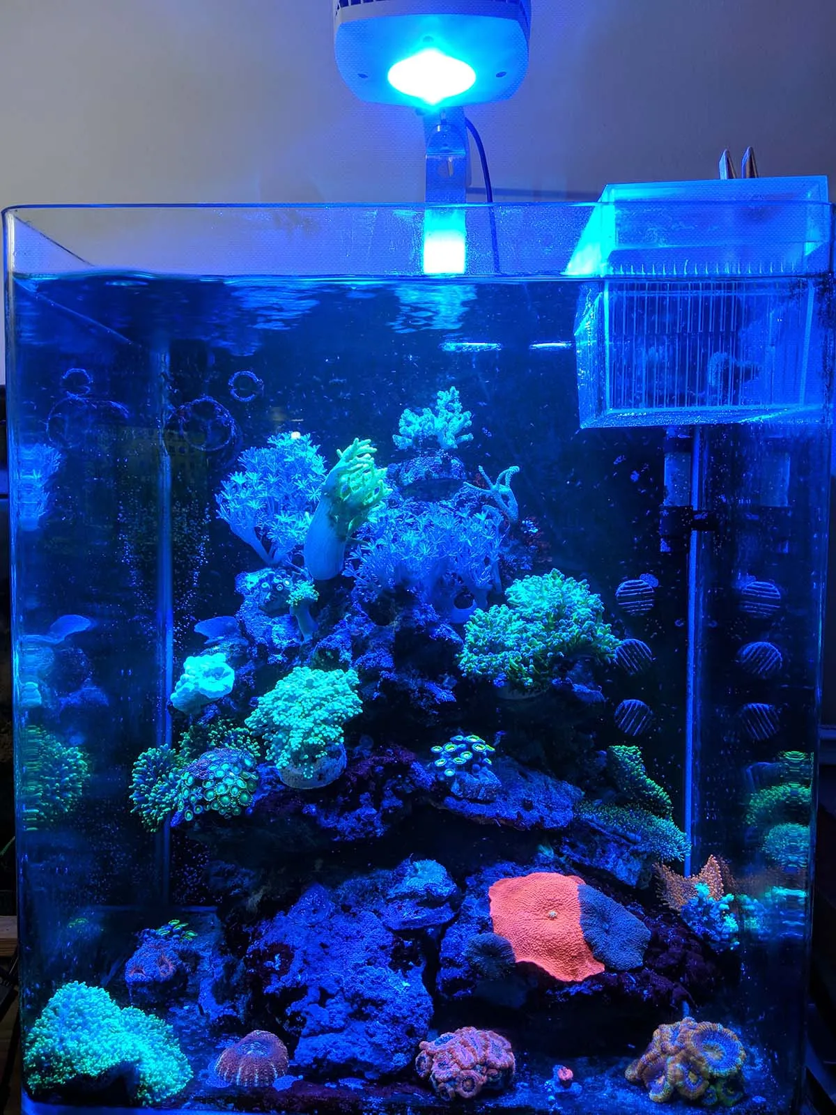 Immagine della storia di Medakando