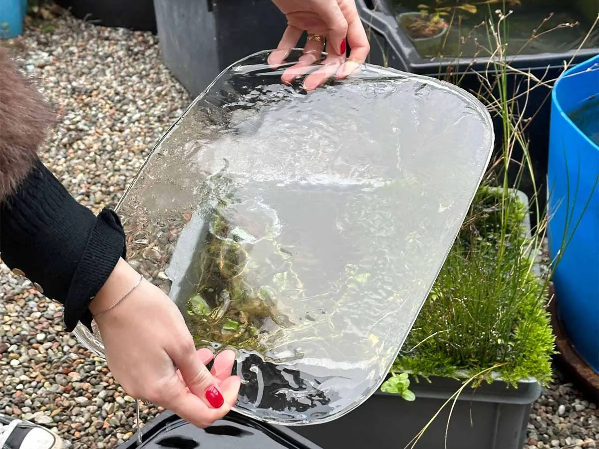 ghiaccio su un minipond