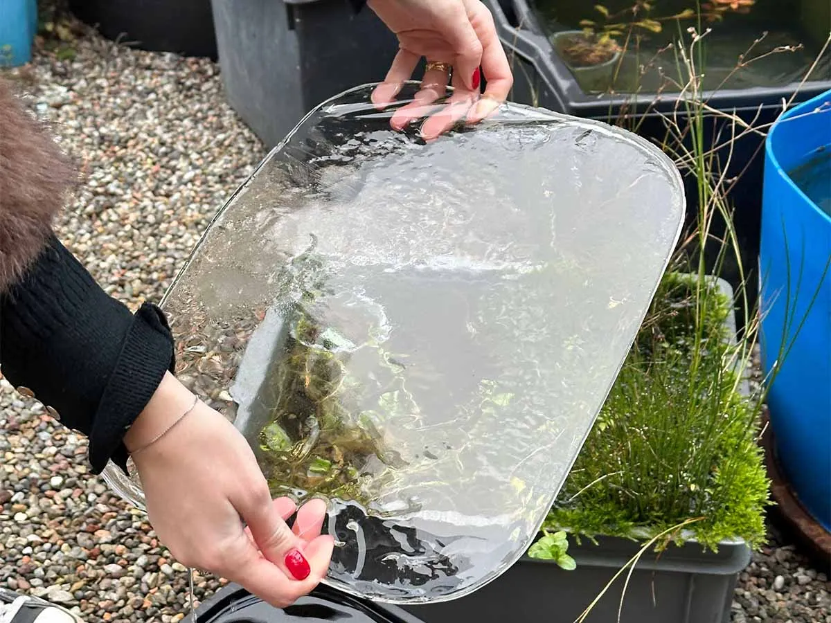 ghiaccio in un minipond